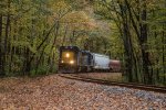 CSX L810 at Bowen Holdout